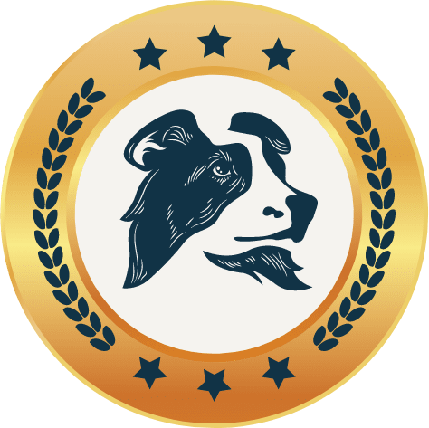 Swilled Dog gold award